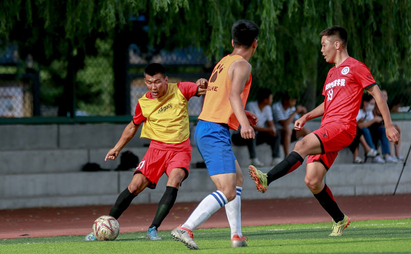 图片报：法比奥-席尔瓦渴望参加世界杯，正推动冬窗离开多特（图片报：为争世界杯席位，法比奥-席尔瓦正推动冬窗离开多特）