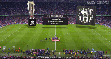 2025中超联赛各队排名折线图（2025赛季中超球队排名趋势图）